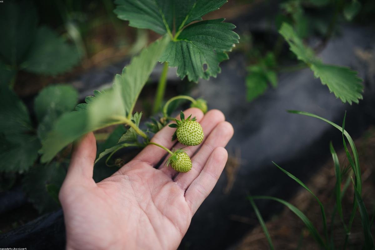 Women farmer leadership and community event