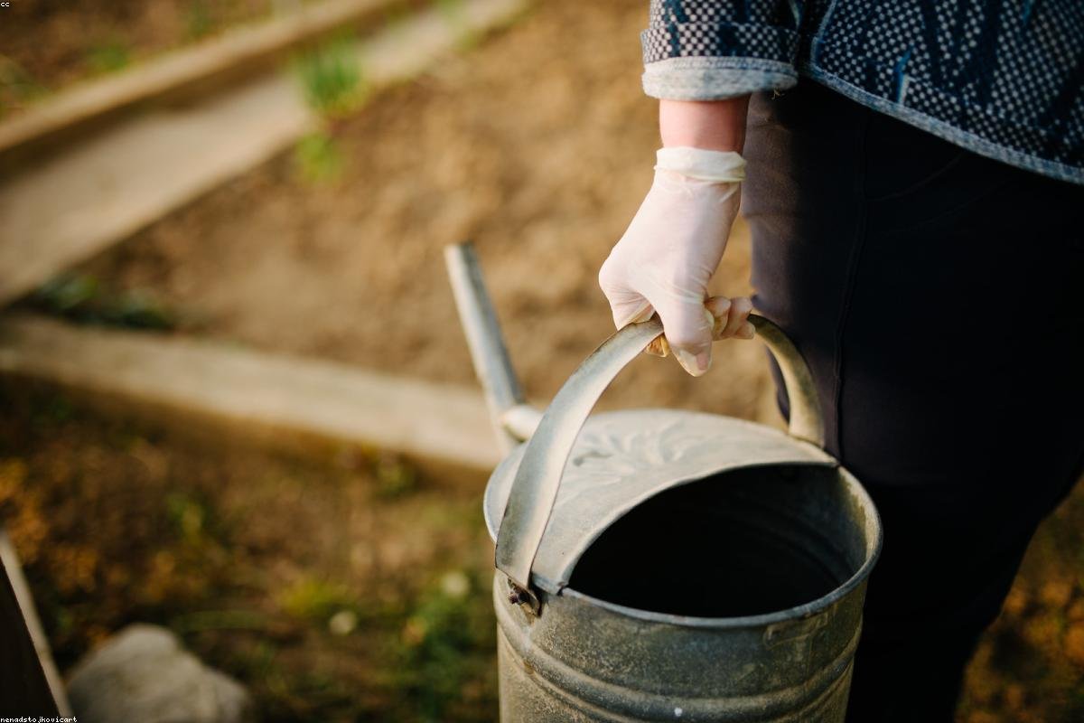 Crop monitoring and farm field inspection